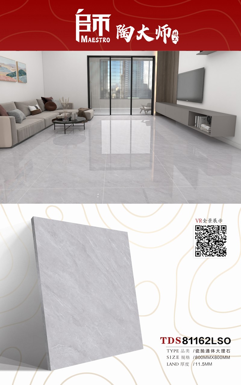 TDS81162LSO.jpg